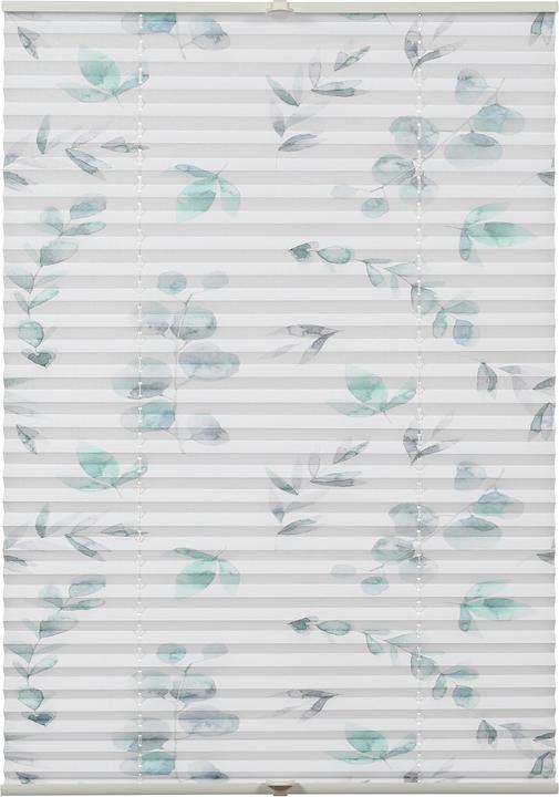 Immagine prodotto Gardinia Concetto plissettato per il fissaggio dei rami di fiori e piante (80 x 210 cm)