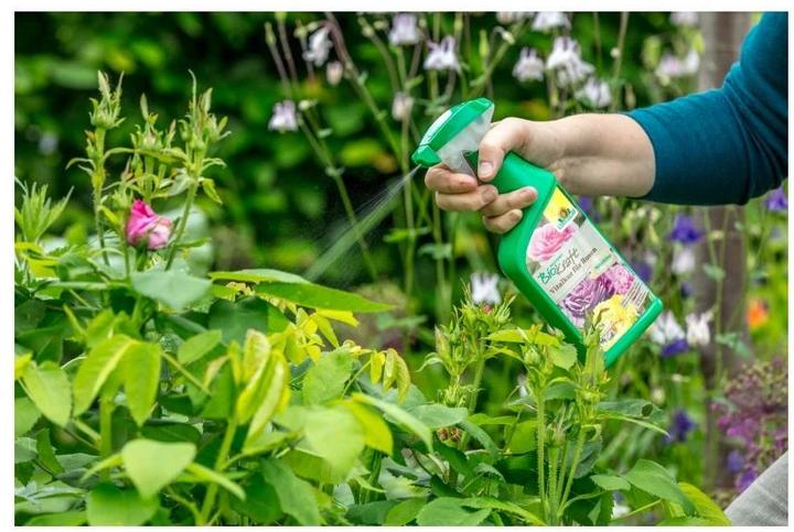 Immagine prodotto Neudorff BioKraft cura rivitalizzante per le rose, 500 ml