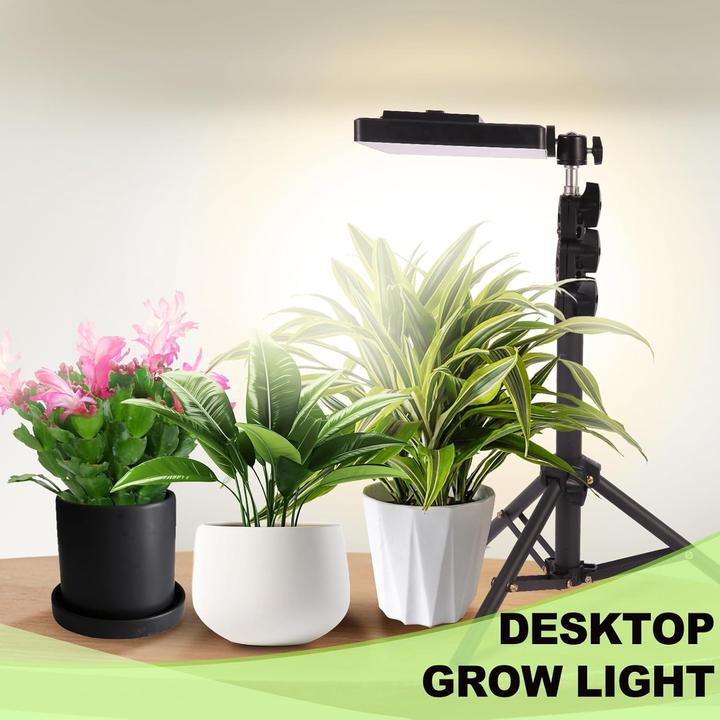 Immagine prodotto Miccye LED Pflanzenlampe (LED)