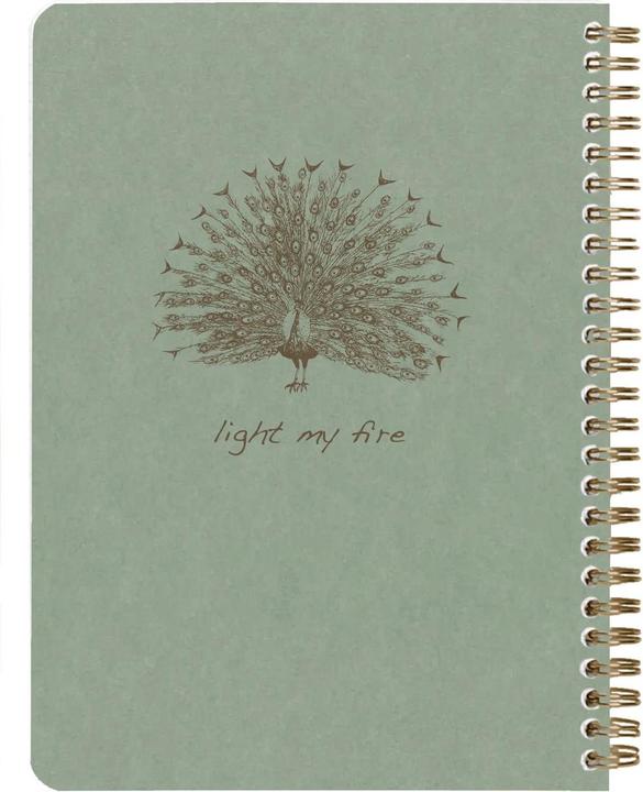 Actual product image Clairefontaine Flying S. Vert, Wrbn d nbk A5 60 sh L ass (AAA393, Checked, Hardcover)