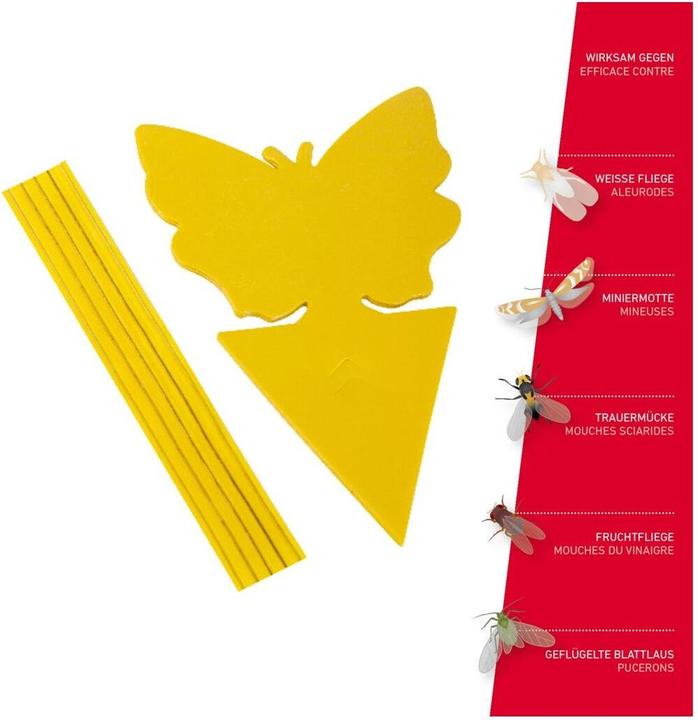 Productafbeelding Windhager Gele val