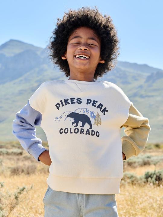 Produktbild Vertbaudet Sweatshirt mit farbigen ƒrmeln f¸r Jungen, Recycling-Polyester (116)