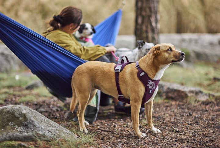 Produktbild Hurtta Weekend Warrior II ECO sele, eggplant 40-50 (Hund, Allgemein, Spazieren)