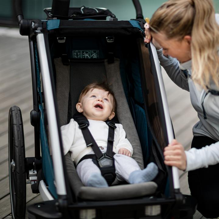 Image du produit Thule Siège pour bébé