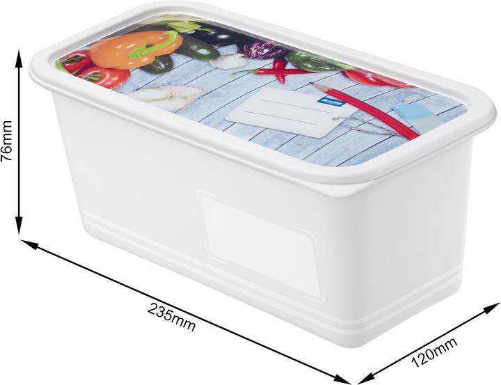 Actual product image Rotho Freezing box (1.50 l)