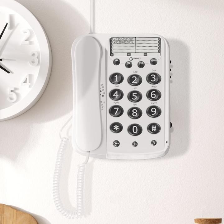 Immagine prodotto Geemarc DALLAS 10 Telefono a filo con tasti grandi - 15dB