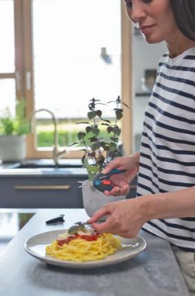 Immagine prodotto Gardena Forbici FreshCut in offerta