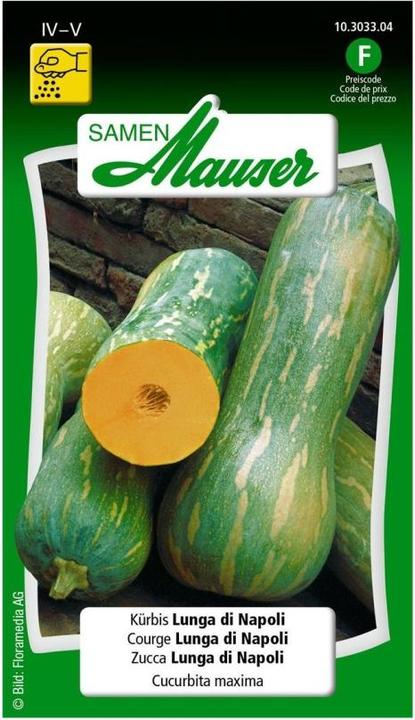 Actual product image Samen Mauser Pumpkin Lunga di Napoli (Vegetable seeds)