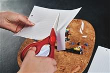 Image du produit Zwilling Ciseaux à usages multiples Twin (20 cm)