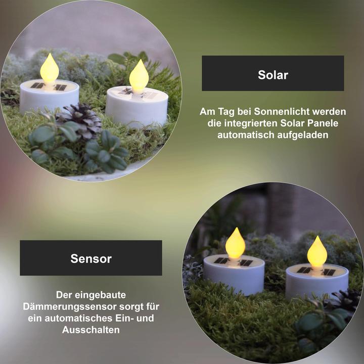 Produktbild Schönenberger Saul (3x)