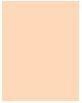 Image du produit MAC Cosmetics Studio Fix 24-Hour Smooth Wear Concealer (N° NC44)