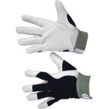 Modecom, Schutzhandschuhe, Tight goatskin gloves, size 10 12pcs. (MN-06-150 (10)