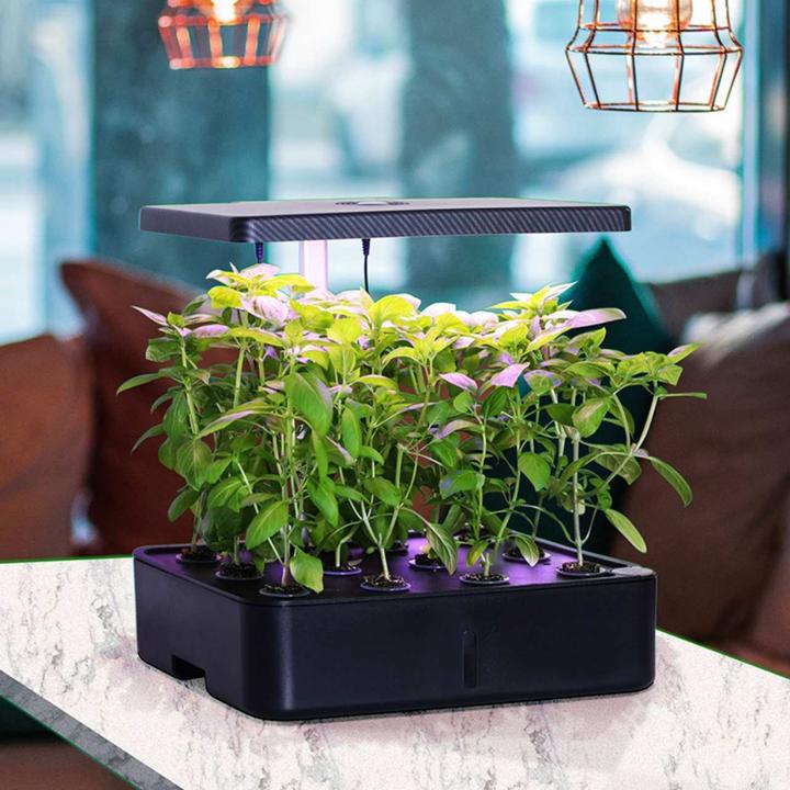 Actual product image Litrax ROBIN Smart Garden 12 (35 x 26 x 30 cm)