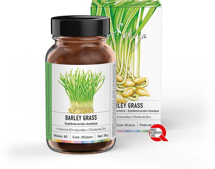 Actual product image Sekoya Barley Grass | Acid-base balance (90 pcs., Capsules)