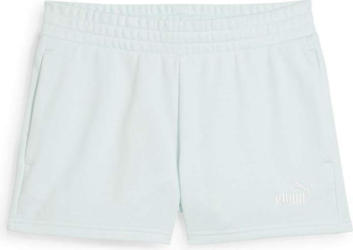 Actual product image Puma ESS Small No. 1 Logo 4" Shorts TR (s) (XL)