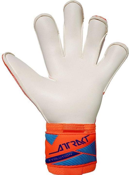 Immagine prodotto Reusch Attrakt Gold X Evolution (8.5)