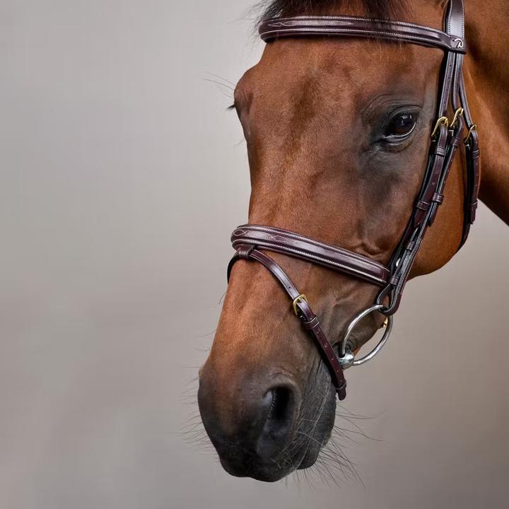 Image du produit Dy'on Flash Collection