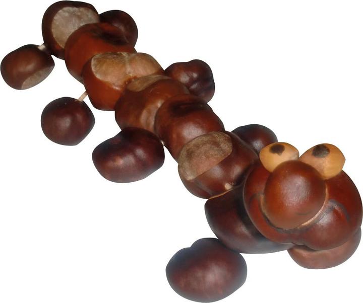 Produktbild Pebaro Peter KASTANIENBOHRER-SET 4