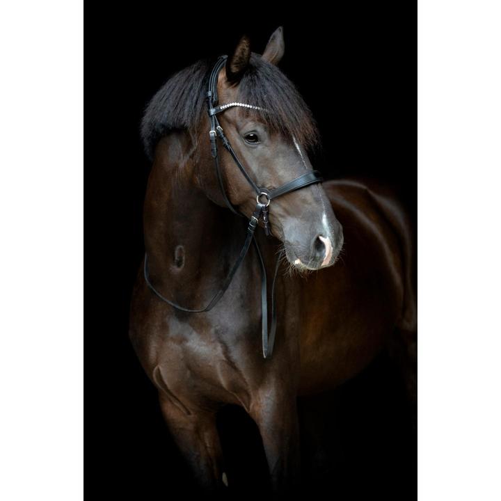 Immagine prodotto Catago Gentle