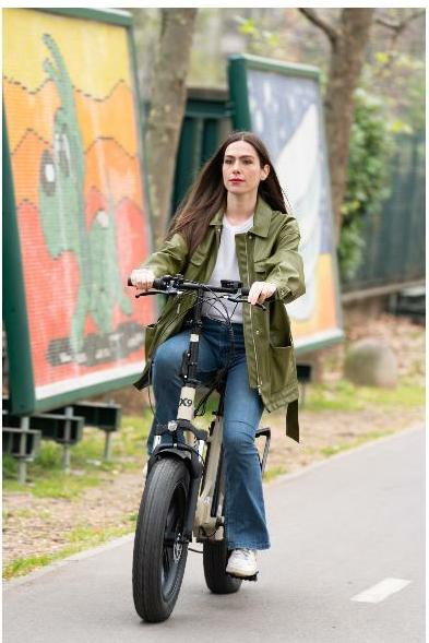 Actual product image Nilox E-Bike 36v13ah 20x4p - X9 (45 cm)