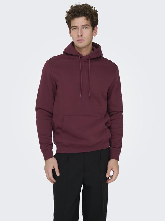 Produktbild Only & Sons Onsconnor Reg Sweat Hoodie Noos (M)