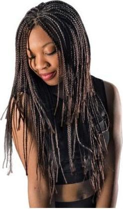 Immagine prodotto Dream Hair Ultimate Braid Pre-Stretched 170g