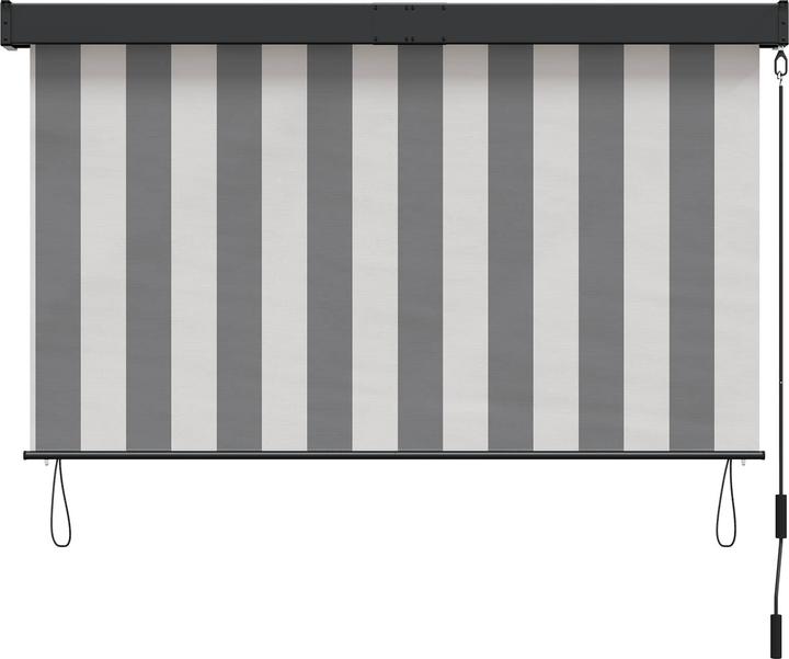 Produktbild vidaXL Outdoor Rollo (100 x 250 cm)