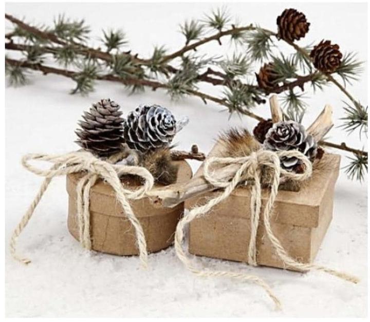 Immagine prodotto Creativ Company Cono di pino