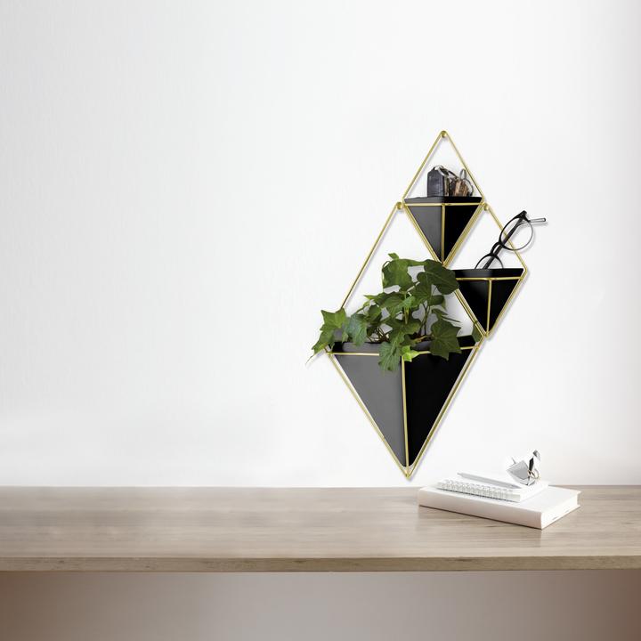 Actual product image Umbra Trigg Wall Display S (11.40 cm)