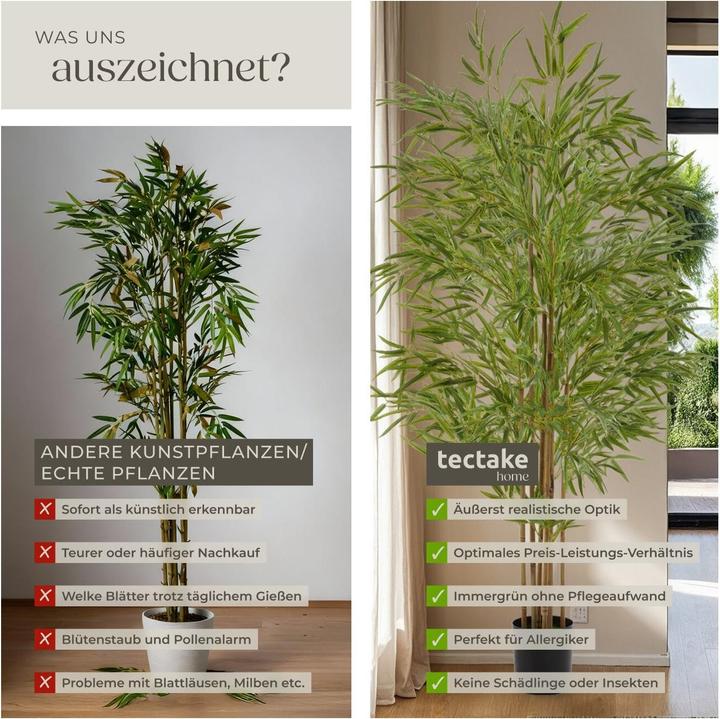 Immagine prodotto tectake Albero di bambù Bambosa (150 cm)