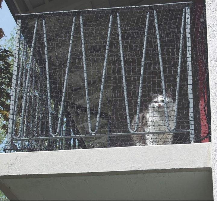 Image du produit Windhager Filets de protection pour chats