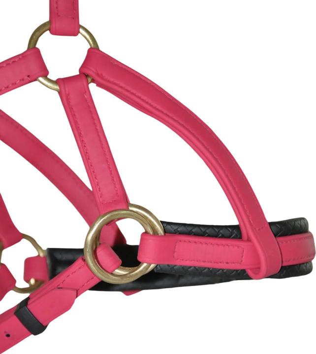 Image du produit TdeT Sidepull Biotack®