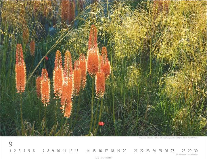 Immagine prodotto Gräser Kalender 2026 (44 x 34 cm)