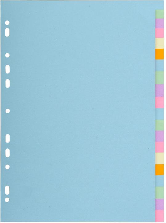 Exacompta Register A4+, Recyclingkarton 170g, Pastellfarben, 20 Taben blanko, Forever