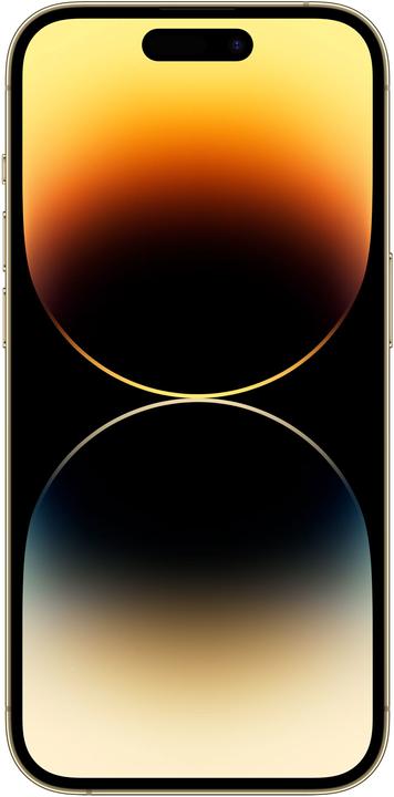 Actual product image Apple iPhone 14 Pro (1000 GB, Gold, 6.10", SIM + eSIM, 5G)