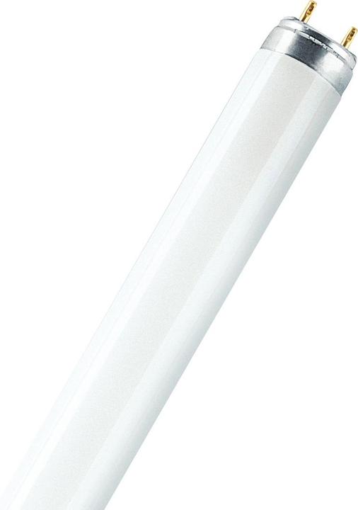 Osram Natura (G13, 36 W, 1800 lm, 1 x, G)