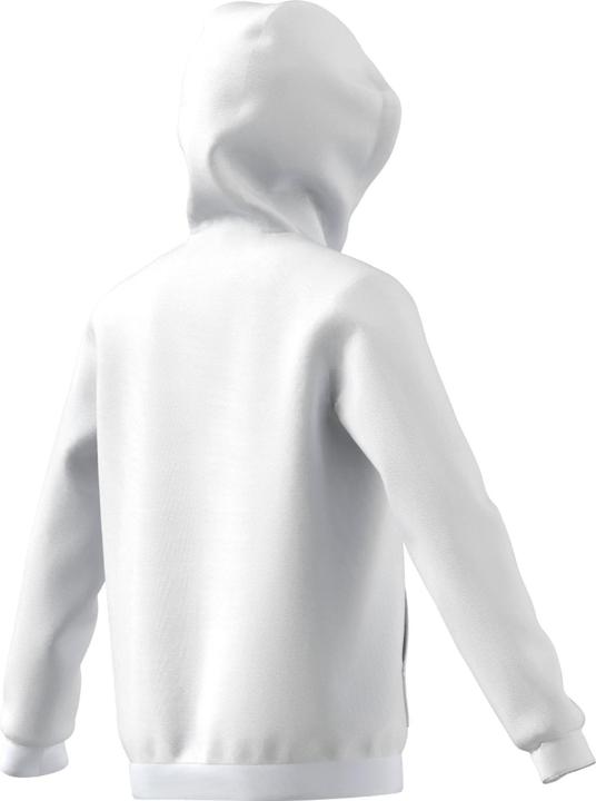 Produktbild adidas Entrada 22 Kapuzenpullover Kinder (176)