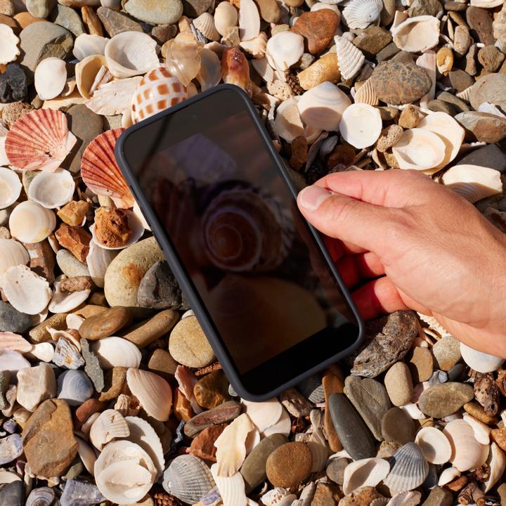 Actual product image ShiftCam LensUltra 10x Traditional Macro - Smartphone macro lens