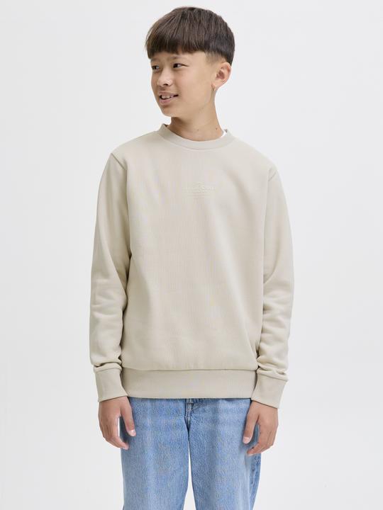 Produktbild Jack & Jones Gedruckt Sweatshirt Junior Sweatshirt (152)
