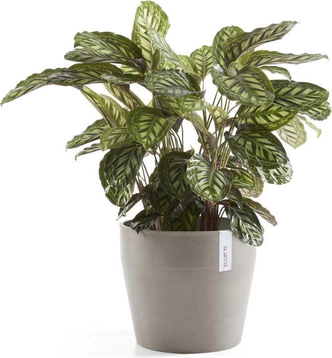 Produktbild Ecopots Sankara