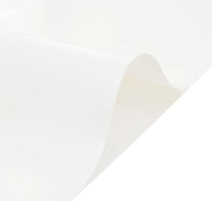 Immagine prodotto vidaXL Telone 600 g/m² (2.50 x 1 m)