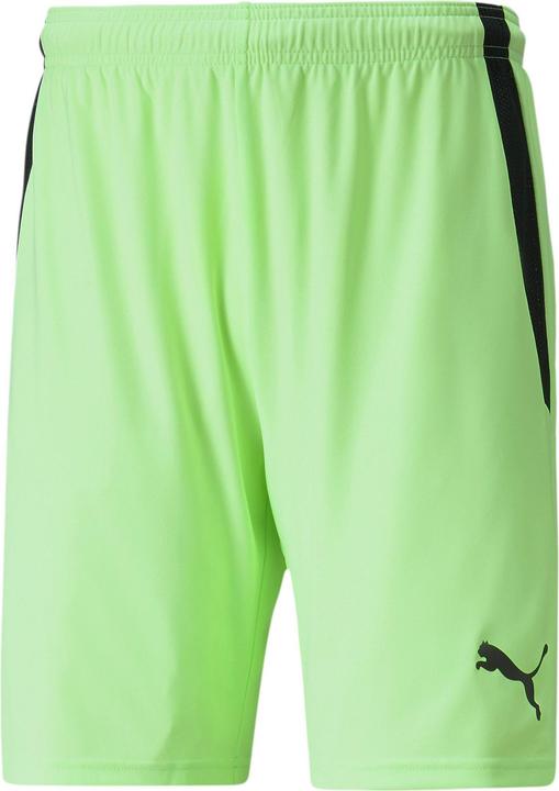 Actual product image Puma teamLIGA shorts (M)