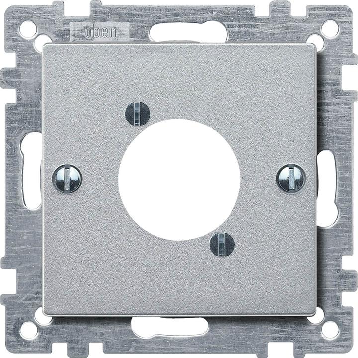 Aluminium
