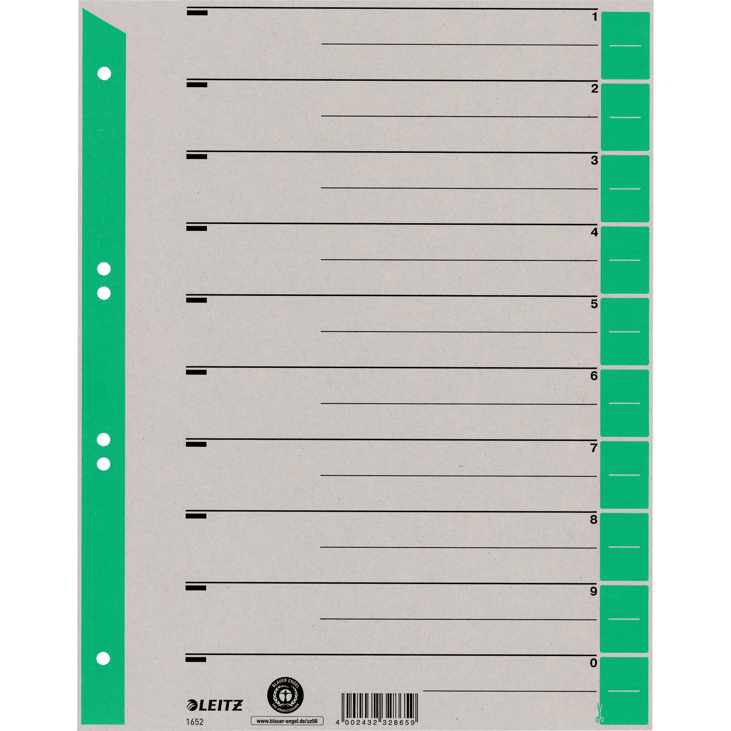 Leitz, Ordner Zubehör, Trennblätter, A4 Überbreite, Kraftkarton 230g/qm, grün aus grauem Karton mit grünen Taben, Bla