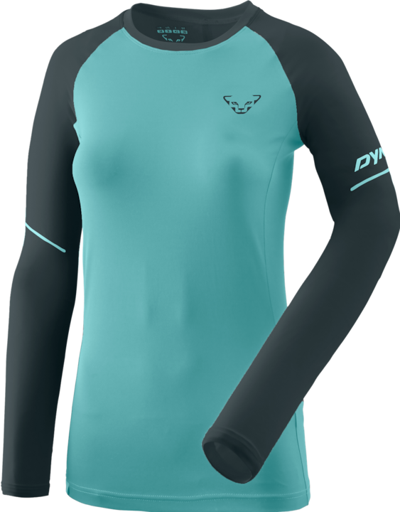 Produktbild Dynafit Alpine Pro Langarmshirt (40)