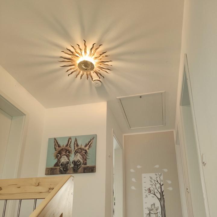 Produktbild s.luce Diator L (G9)