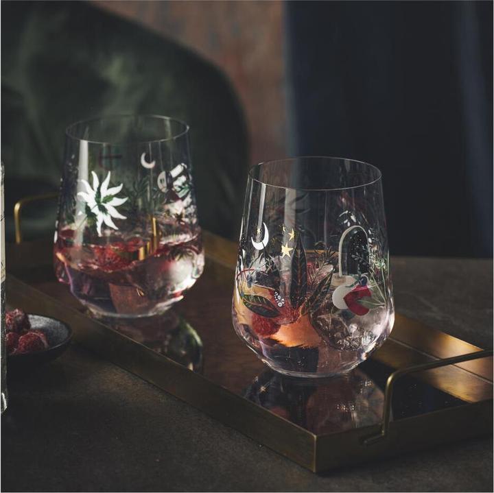 Image du produit Ritzenhoff Botanic Glamour (7.10 dl, 2 x, Verres à gin)