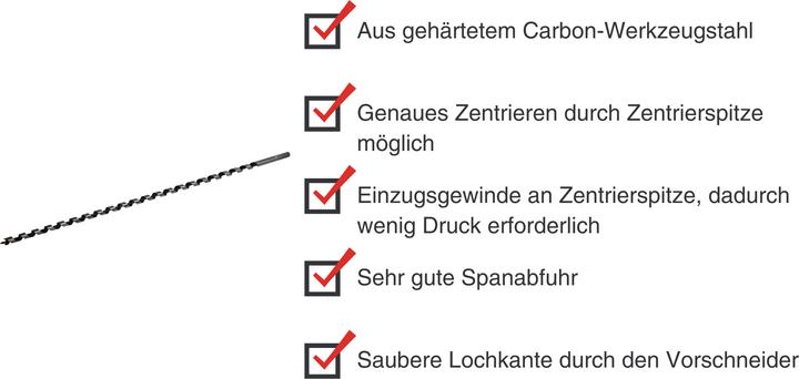 Actual product image Paulimot Schlangenbohrer Ø 12 mm, Länge 600 mm, Form Lewis (12 millimetres)