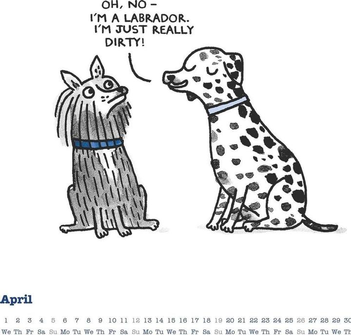 Immagine prodotto Alpha Edition A Cat's Life & A Dogs Life 2026 - Wende-Kalender - Wand-Kalender - Broschüren-Kalender - 30x30 - (30 x 30 cm)