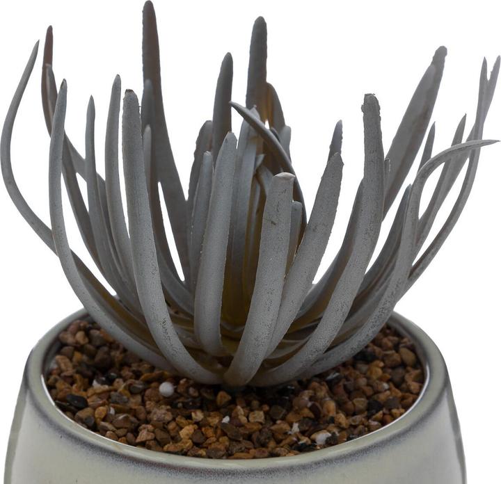 Immagine prodotto Atmosphera 196699 (18 cm)